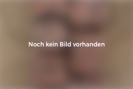 Gneis Zierfindling grau-braun-liniert