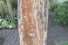 Zierfindlinge naturbelassen und bearbeitet