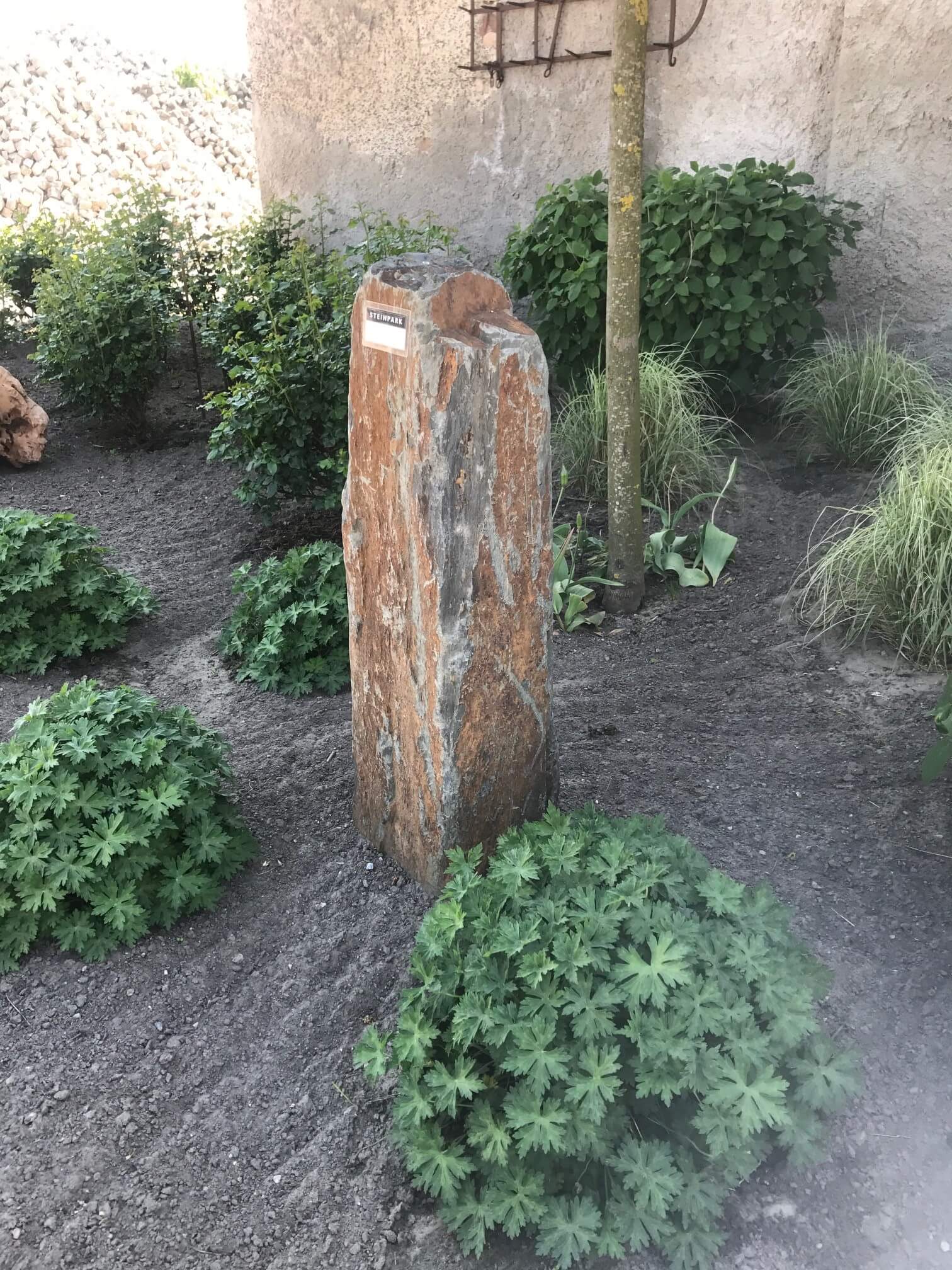 Zierfindling Schiefer 2