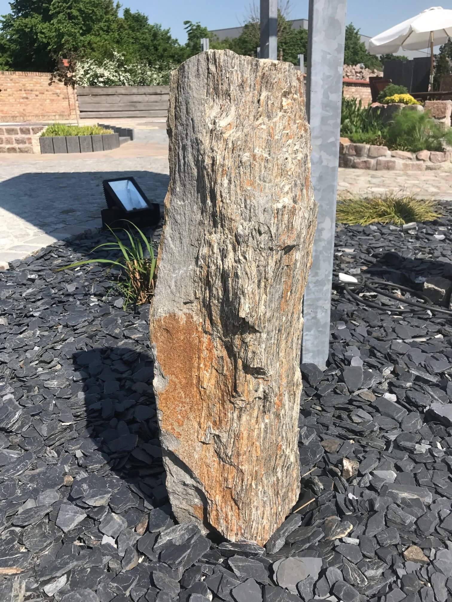 Zierfindling Gneis 2