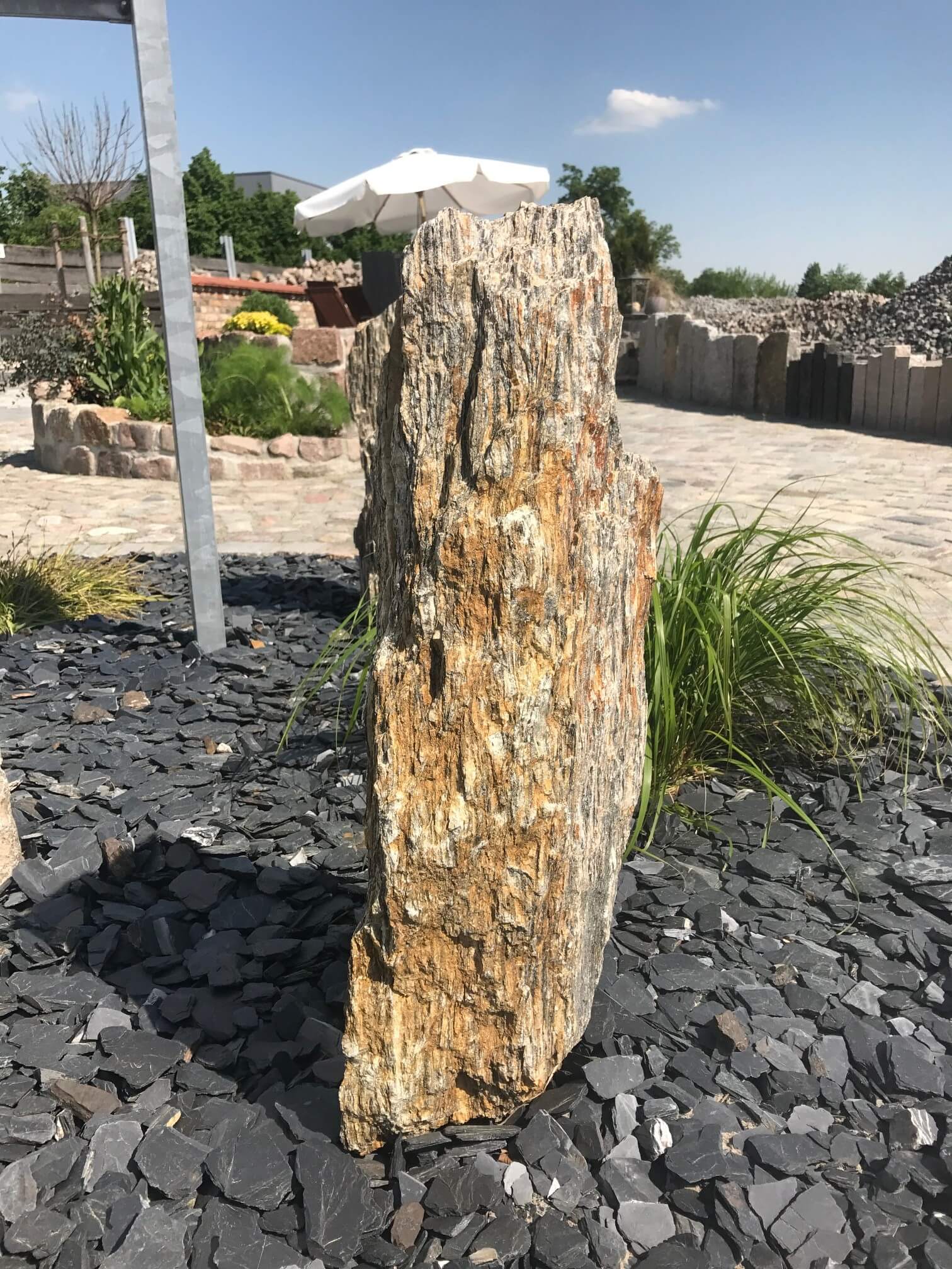 Zierfindling Gneis 1