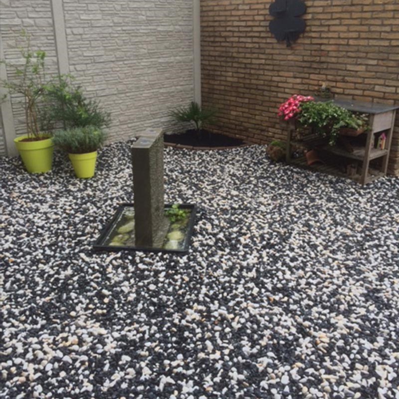 zierkies-panda-16-25mm-getrommelt-schwarz-weiß