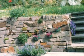 Grauwacke Mauerwerk 6-25×20-40xfreie Längen maschinengespalten Grauwacke Mauerwerk 6-25×20-40xfreie Längen maschinengespalten