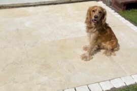 Kalkstein Terrassenplatte Catrina 60x40x3 cm gelb-beige