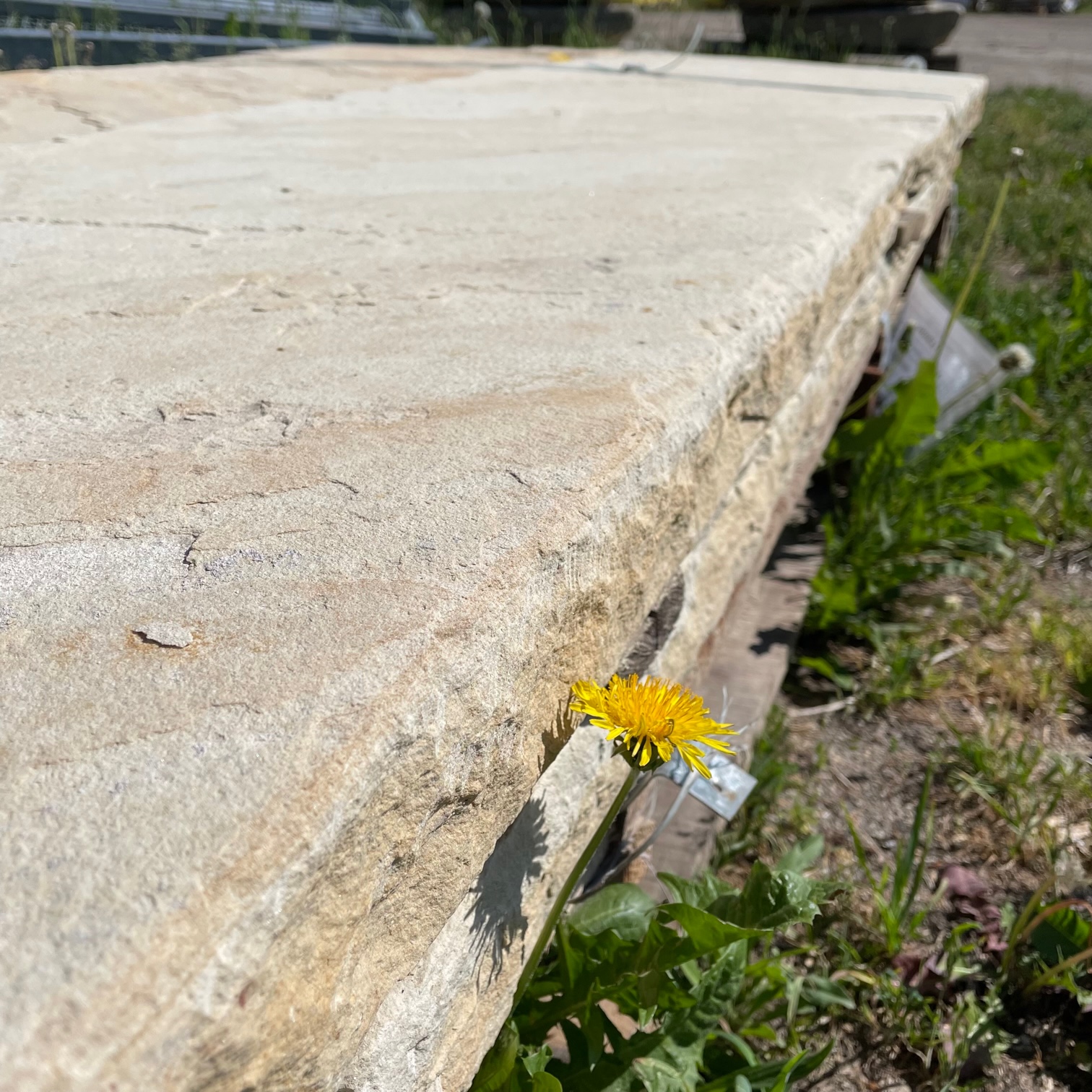 quarz-sandstein-sichtschutzstele-golden-sun-3