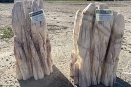 Zierfindling Candy Stone bunt