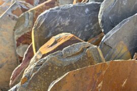 Schiefer Trittplatte Torre Multicolor ca. 50-70×1,5-2,5 cm bunt