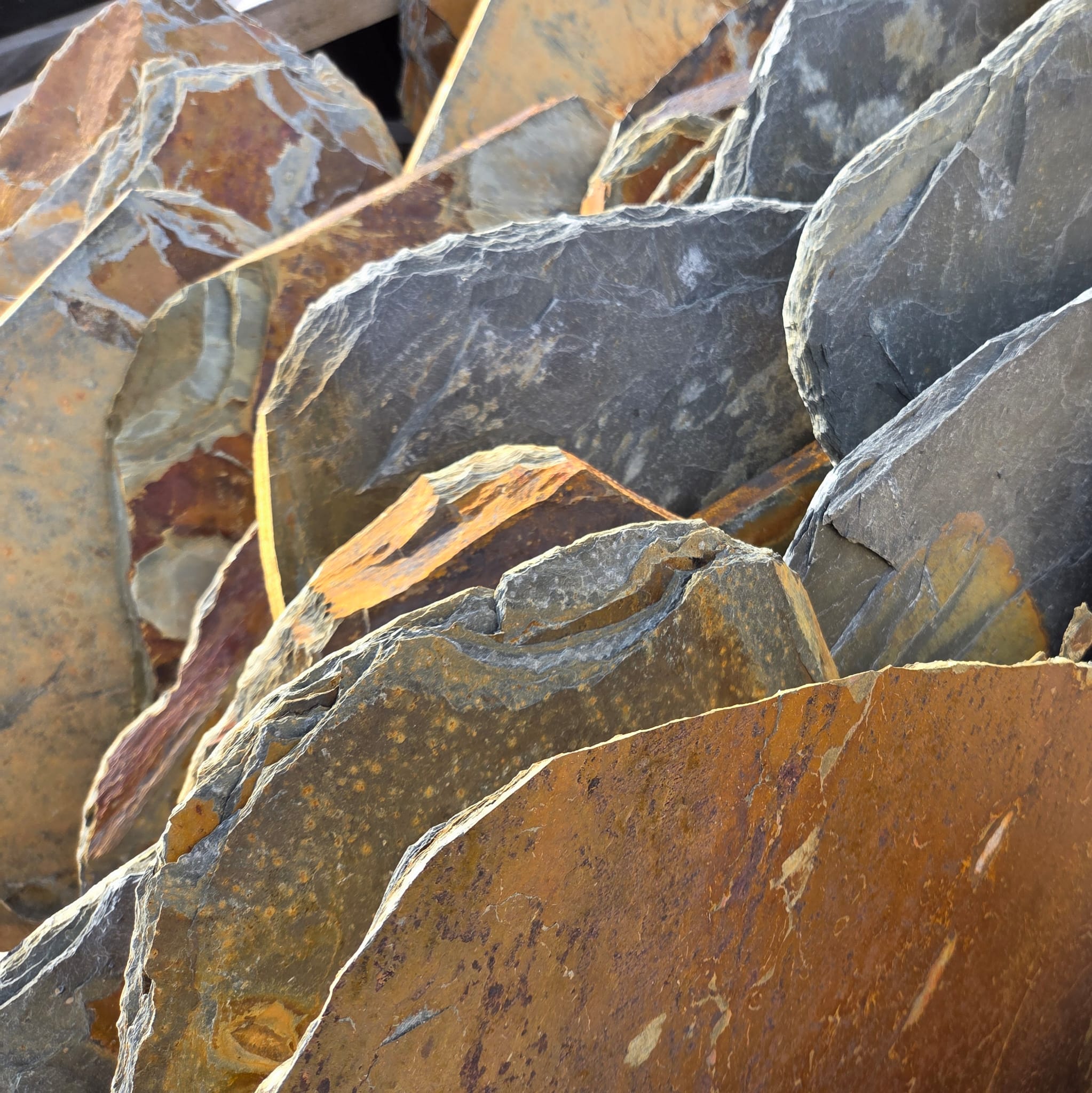 Schiefer Trittplatte Torre Multicolor ca. 50-70×1,5-2,5 cm bunt